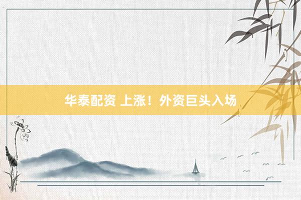华泰配资 上涨！外资巨头入场