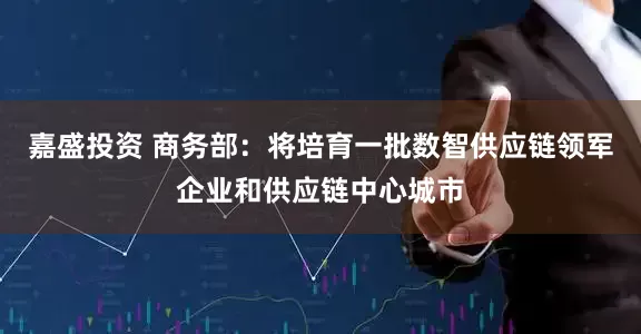 嘉盛投资 商务部：将培育一批数智供应链领军企业和供应链中心城市