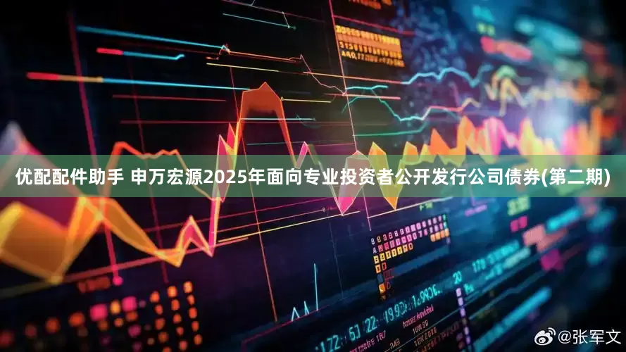 优配配件助手 申万宏源2025年面向专业投资者公开发行公司债券(第二期)