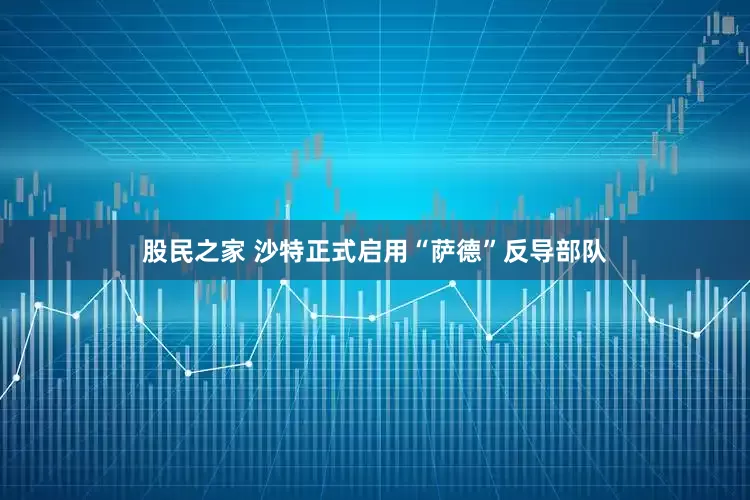 股民之家 沙特正式启用“萨德”反导部队