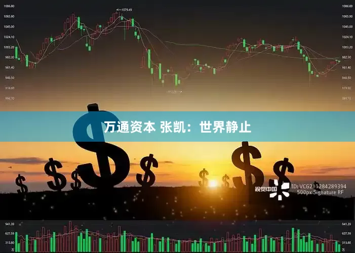 万通资本 张凯：世界静止