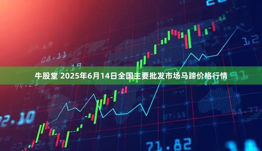 牛股堂 2025年6月14日全国主要批发市场马蹄价格行情