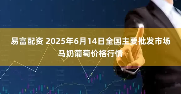 易富配资 2025年6月14日全国主要批发市场马奶葡萄价格行情
